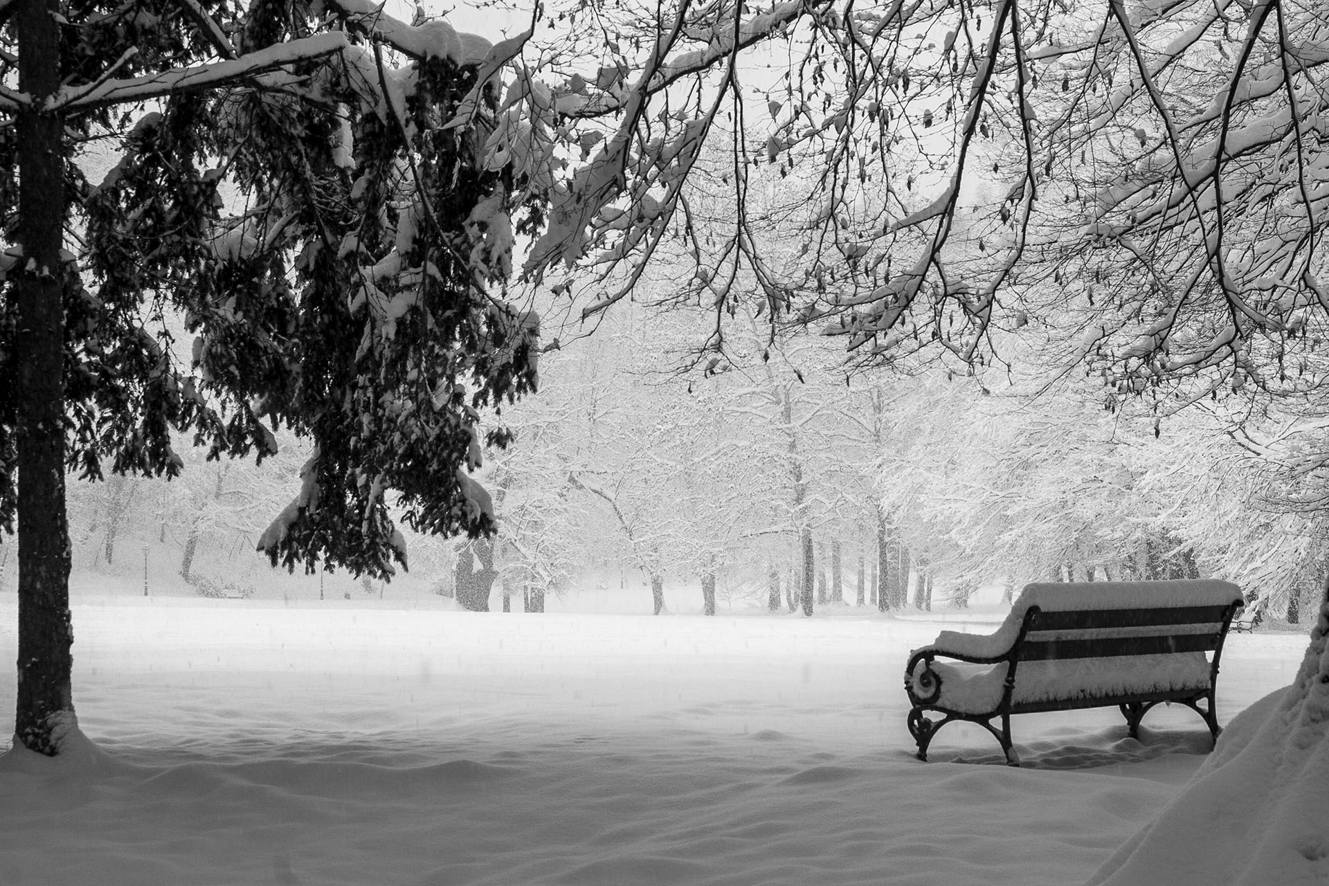 Winter Scene in Maximir Park, Croatia