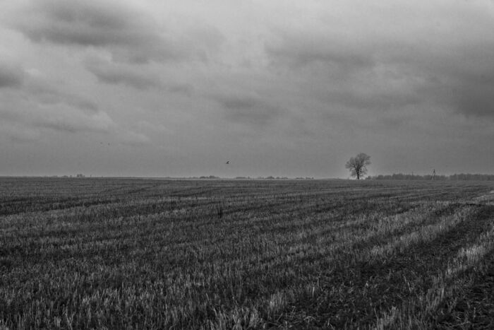 The stark beauty of a cold autumn day