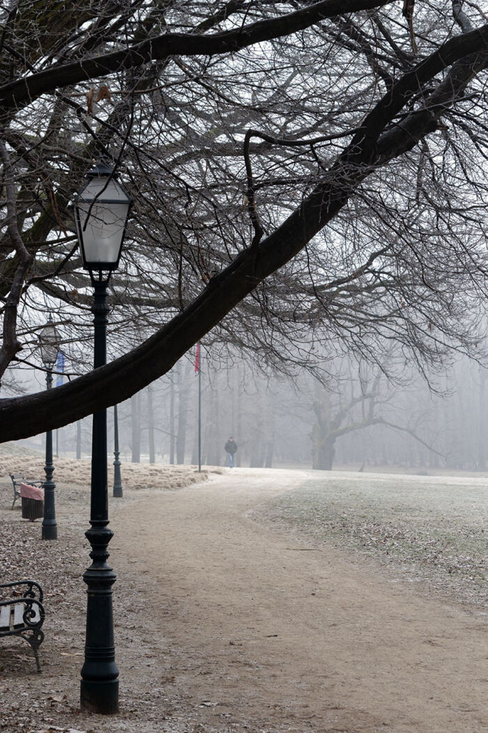 Heart of winter, Maximir Park in Croatia