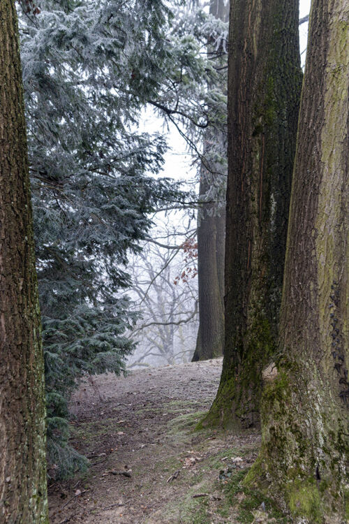 In the heart of winter, Maximir Park in Croatia