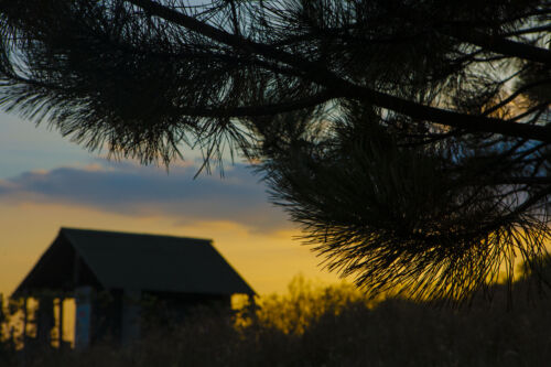 As the sun dips below the horizon