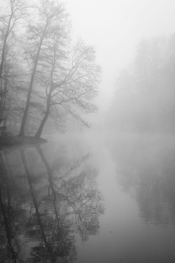 Misty Reflections: Capturing the Essence of Maksimir's Hidden Oasis