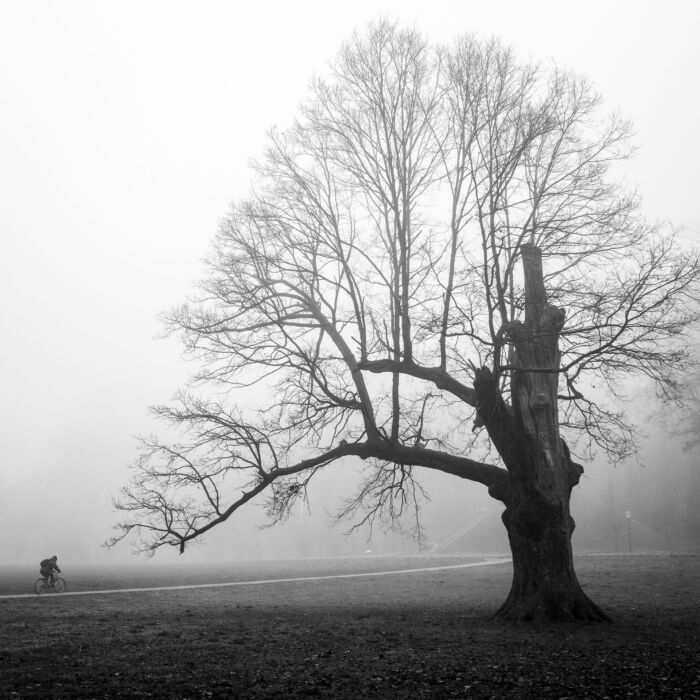 Whispers of Dawn: Croatia's Park Maksimir