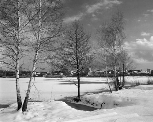 Frozen Serenity: A Timeless Winter Landscape Captured in Black and White