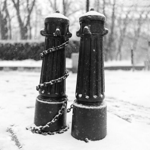 Urban Sentinels: A Black and White Ode to City Winter in Contemporary Photo Art