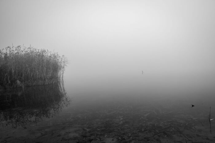 Serenity in the Mist: Black and White Foggy Lake – Buy Art Prints for a Calm and Minimalist Interior