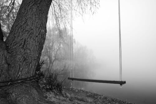 Whispers of Serenity: A Misty Lake Captured in Timeless Black and White