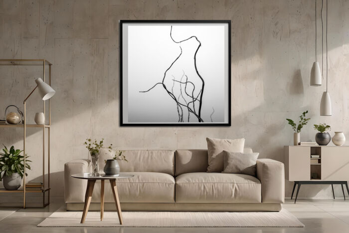 Whimsical Willow: Minimalist Nature in Contemporary Photo Art