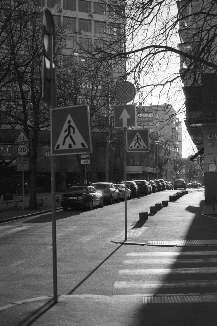 Sun-Kissed Streets: A Black and White Symphony