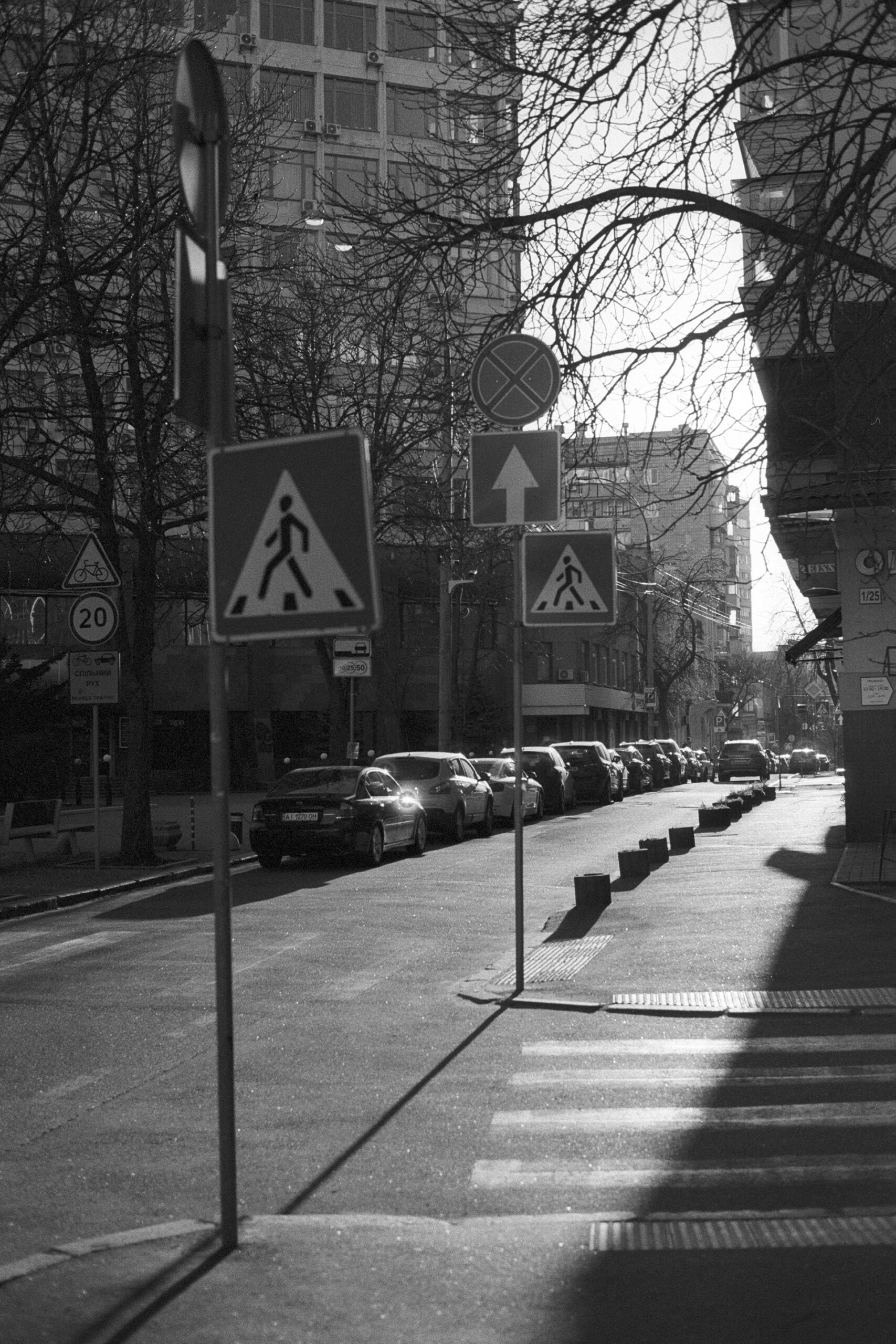 Sun-Kissed Streets: A Black and White Symphony