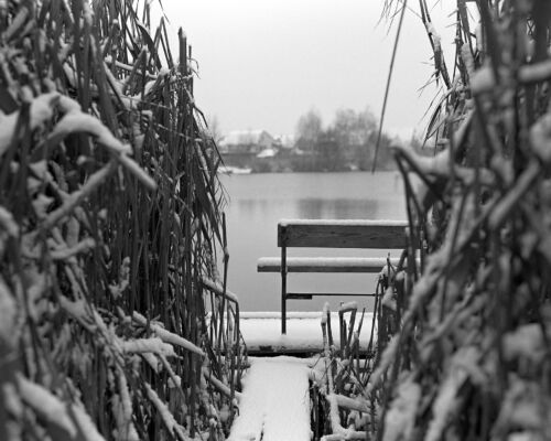 Winter's Whisper: A Lakeside Reverie in Black and White