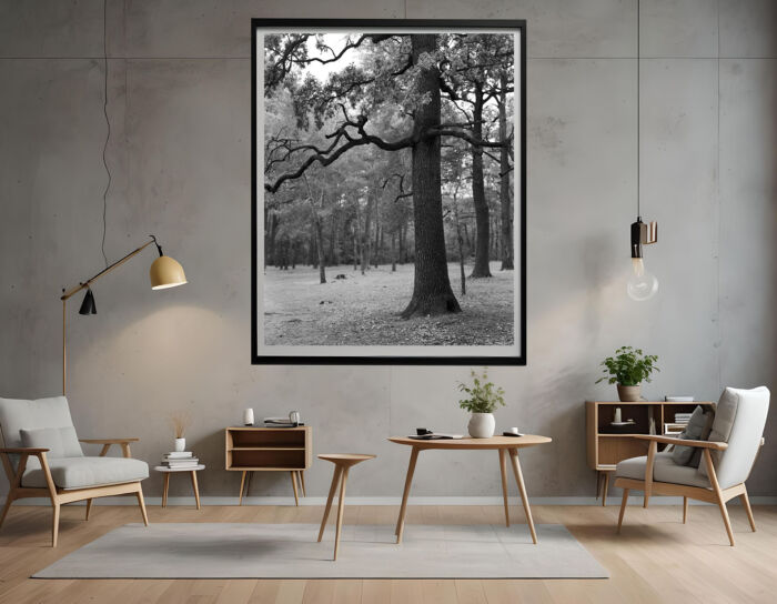 A Majestic Tree: A Stunning Black and White Photograph to Elevate Your Space