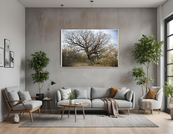 The Ancient Oak: Where Nature Meets Contemporary Art Photography