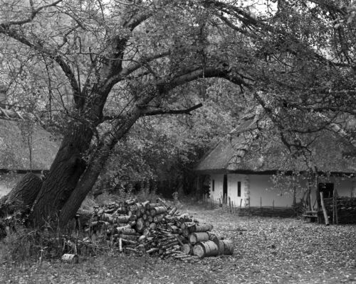 Ukrainian Homestead in Black and White - Fine Art Photography Print