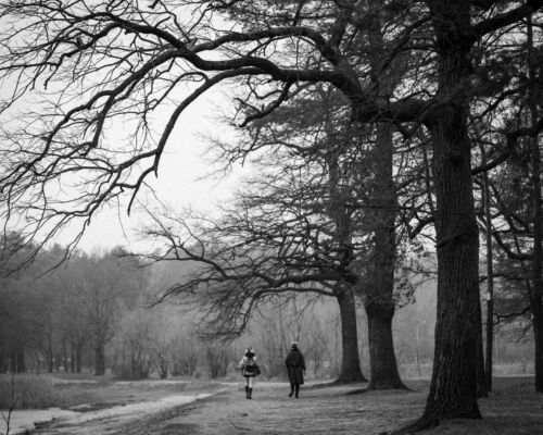 Winter's Tale: A Timeless Black and White Art Photography Print Capturing Life's Quiet Moments