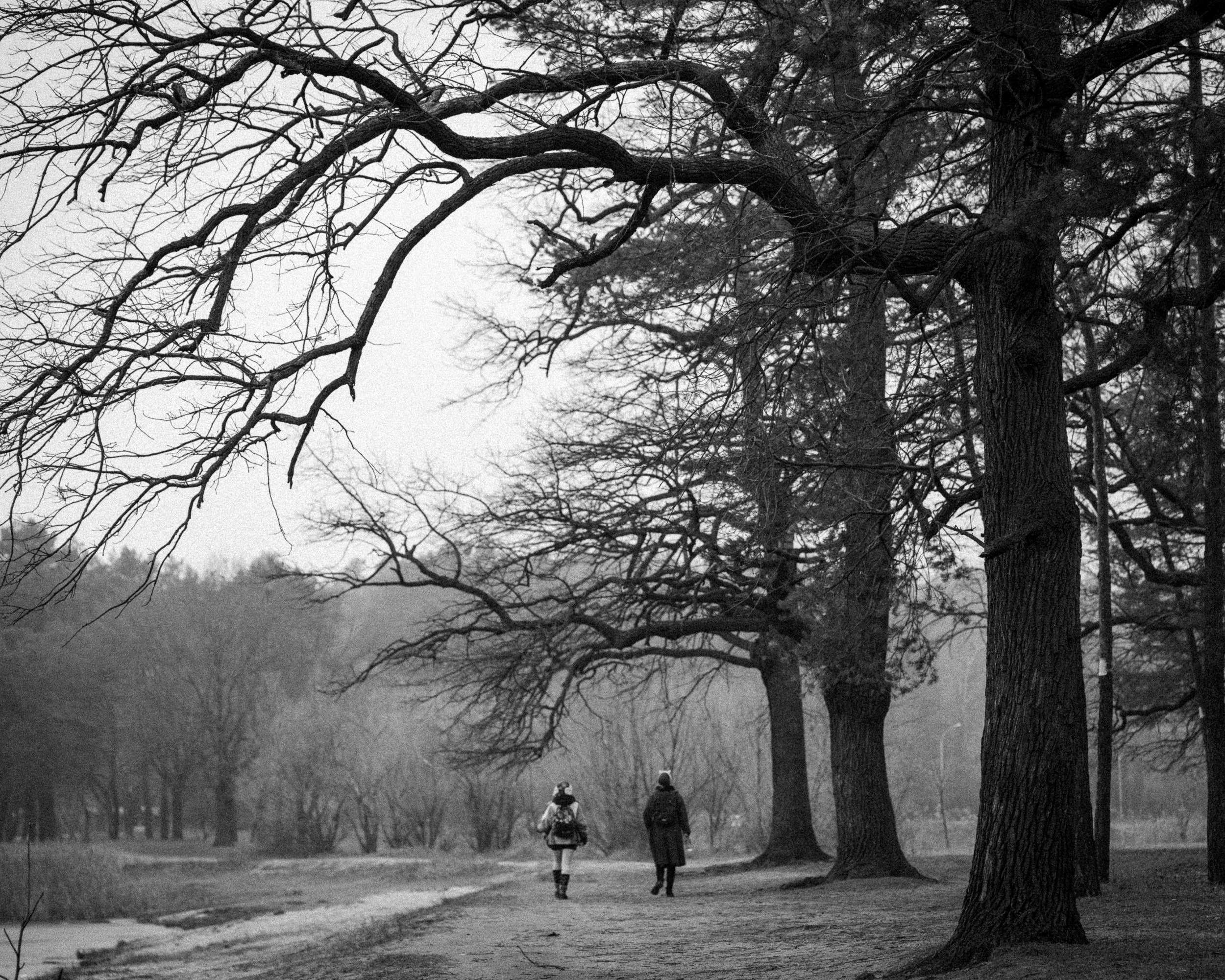 Winter's Tale: A Timeless Black and White Art Photography Print Capturing Life's Quiet Moments