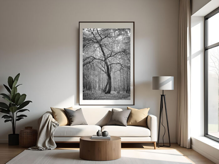 Dancing Tree: A Timeless Black and White Art Photography Print Capturing Nature's Poetry